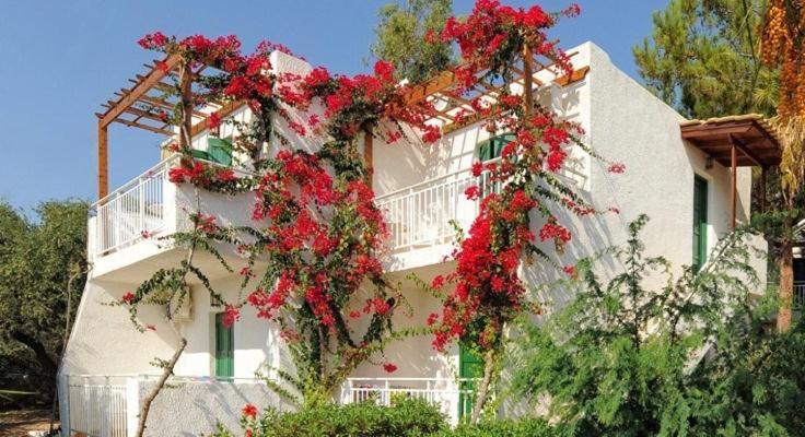 Σαραντάρι Διαμερίσματα Hersonissos  Dış mekan fotoğraf